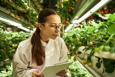 Similar image 22218994