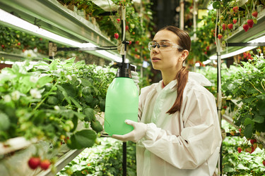 Similar image 22219010