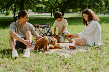 Similar image 22216652