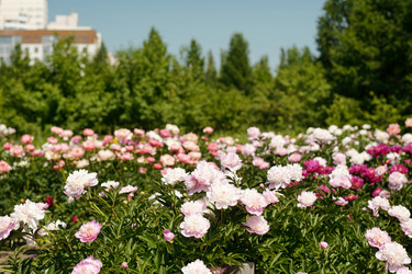 Similar image 22215804