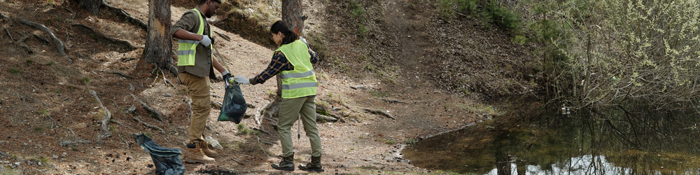 Similar image 22217609