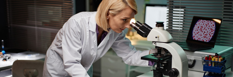 Similar image 22213010