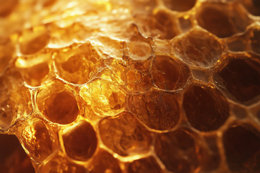 Similar image 22221612