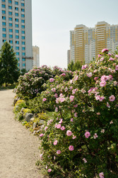 Similar image 22215771