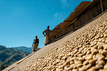 Similar image 22220998