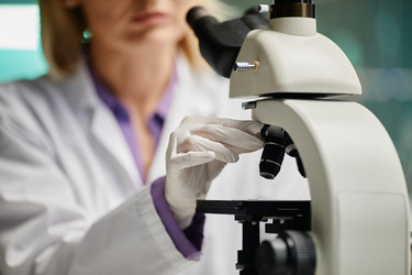 Similar image 22213022