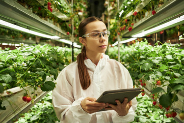 Similar image 22219100