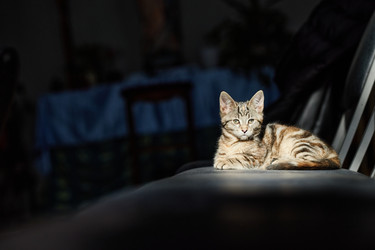 Similar image 22213197