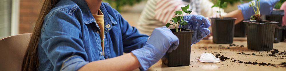 Similar image 22219063