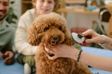 Similar image 22215931