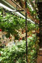 Similar image 22219062