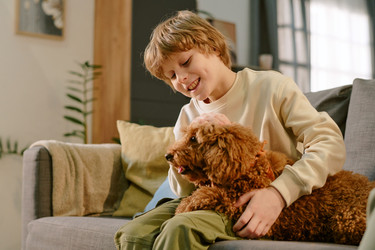 Similar image 22215952