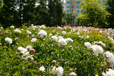 Similar image 22215772