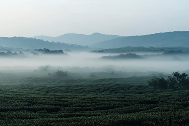 Similar image 22220985