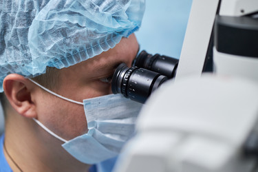 Similar image 22212555