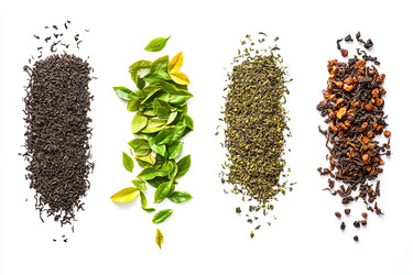 Similar image 22221010