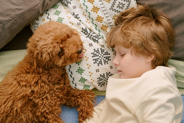 Similar image 22215989