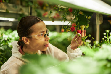 Similar image 22219108