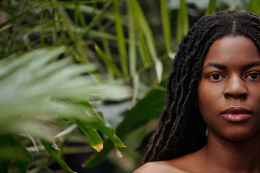 Similar image 22214569