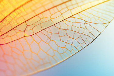 Similar image 22221444