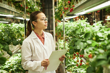 Similar image 22219050