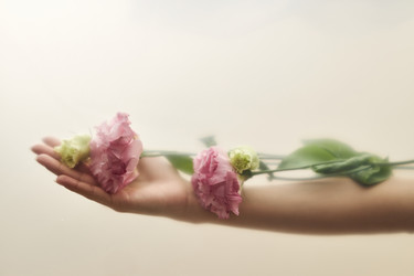 Similar image 22218738