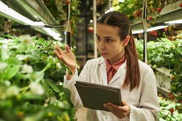 Similar image 22219020