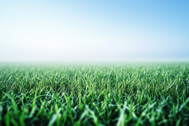 Similar image 22221232