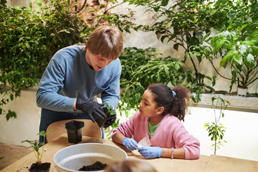 Similar image 22219035