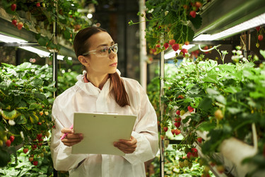 Similar image 22219000