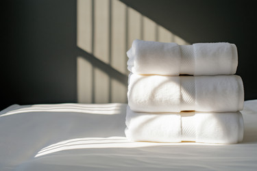 Similar image 22216502