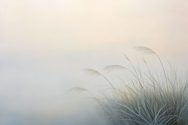 Similar image 22221222