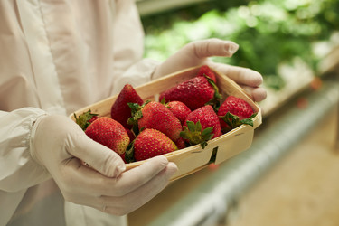 Similar image 22219006