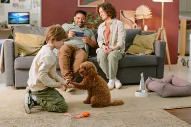 Similar image 22215983