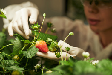 Similar image 22219134