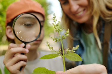 Similar image 22215766