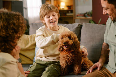 Similar image 22215947