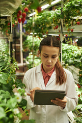 Similar image 22219026