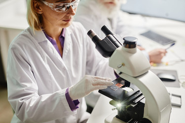 Similar image 22212980