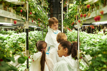 Similar image 22219064