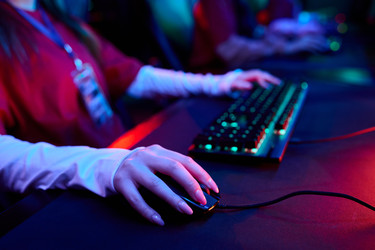 Similar image 22215500