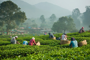 Similar image 22220987