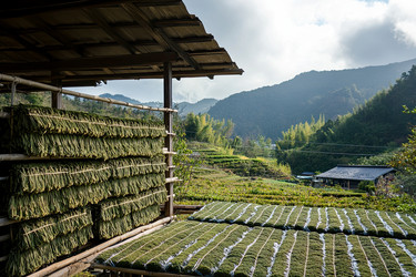 Similar image 22221039