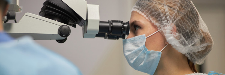 Similar image 22212522