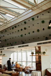 Similar image 22212616