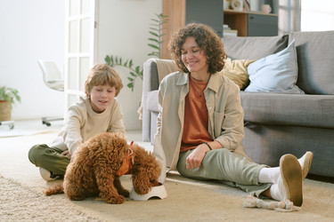 Similar image 22215987