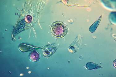 Similar image 22221543