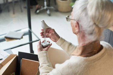 Similar image 22217134