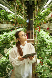 Similar image 22219103