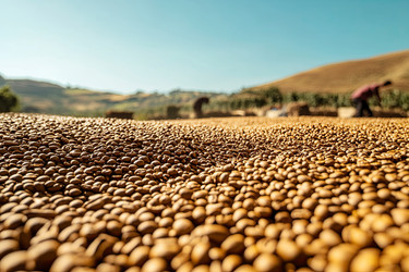 Similar image 22221002